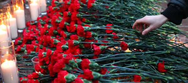 Гвоздики на памятнике. Архивное фото - Sputnik Кыргызстан