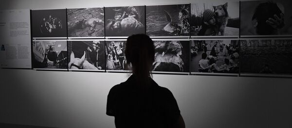 Посетитель на выставке победителей и призеров Международного конкурса фотожурналистики имени Андрея Стенина в Москве. Посетитель на выставке победителей и призеров Международного конкурса фотожурналистики имени Андрея Стенина в Москве. - Sputnik Кыргызстан