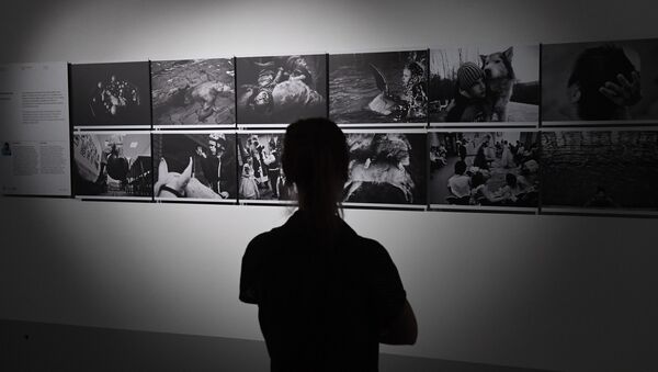 Открытие выставки победителей и призеров Международного конкурса фотожурналистики имени Андрея Стенина в Москве - Sputnik Кыргызстан