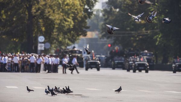 Голуби на площади Ала-Тоо во время военного парада. Архивное фото - Sputnik Кыргызстан