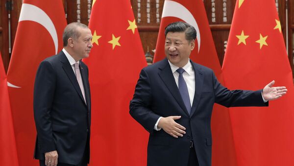 Кытайдын лидери Си Цзиньпин ишемби күнү Түркиянын президенти Тайип Эрдоган - Sputnik Кыргызстан