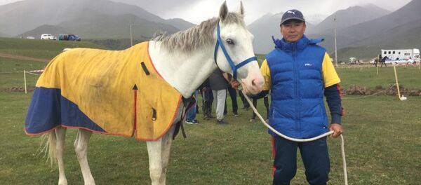 Большие скачки на дистанции в 80 километров в рамках II Всемирных игр кочевников Большие скачки на дистанции в 80 километров в рамках II Всемирных игр кочевников - Sputnik Кыргызстан