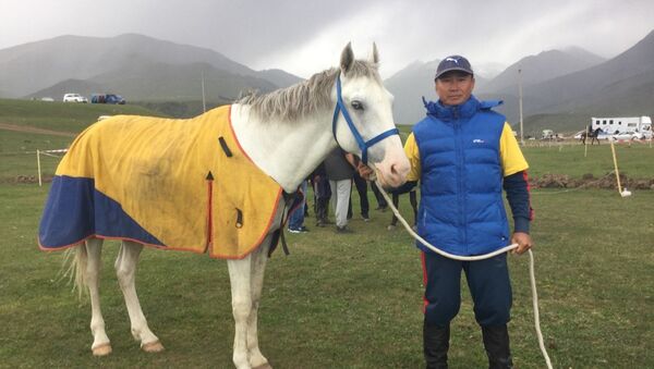 Обладатель первого места на скачках в в рамках II Всемирных игр кочевников лошадь Ак кула и его наездник Жеңиш Батыркулов - Sputnik Кыргызстан