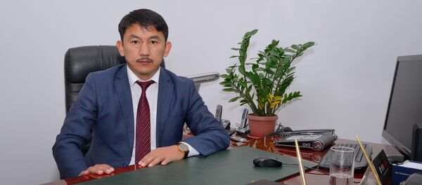 Директор Госагентства антимонопольного регулирования Болсунбек Казаков - Sputnik Кыргызстан