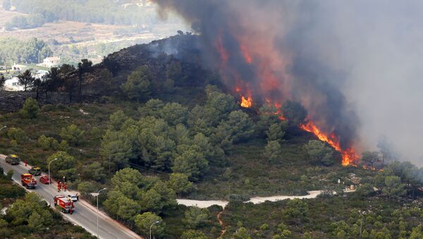 Лесной пожар в Испании. Архивное фото - Sputnik Кыргызстан