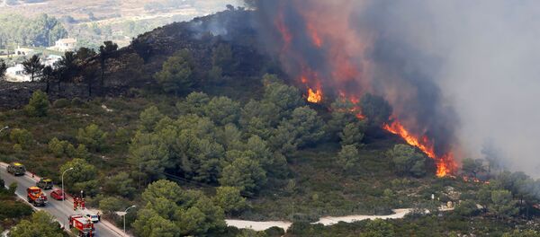 Лесной пожар в Испании. Архивное фото - Sputnik Кыргызстан