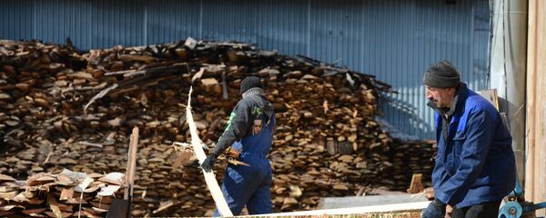 Цех первичной обработки древесины. Архивное фото - Sputnik Кыргызстан