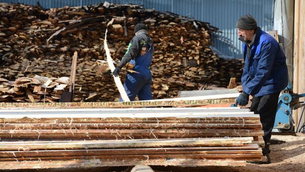 Цех первичной обработки древесины. Архивное фото - Sputnik Кыргызстан
