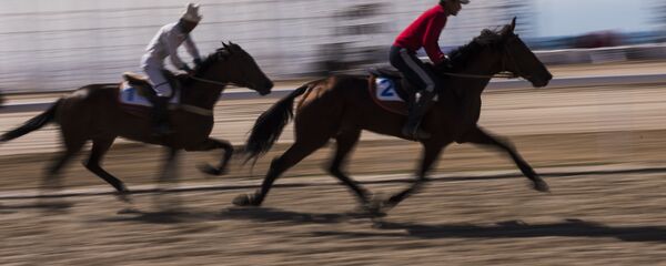 Вторые всемирные игры кочевников. День пятый. Скачки - Sputnik Кыргызстан