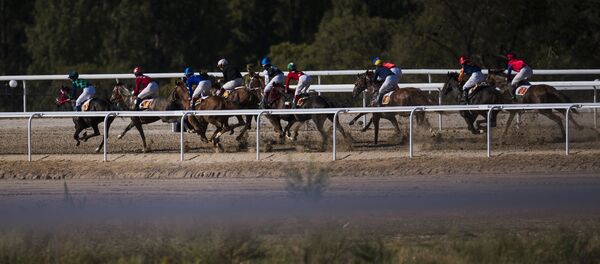 Участники соревнований по скачкам в рамках Вторых всемирных игр кочевников - Sputnik Кыргызстан