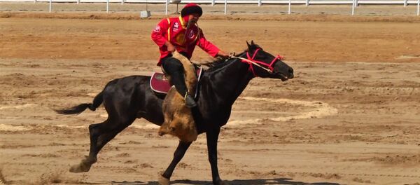 Көк бөрү: ат майданды түп көтөргөн сүрөөн, үстөккө-босток тай казанга ыргытылган улак - Sputnik Кыргызстан