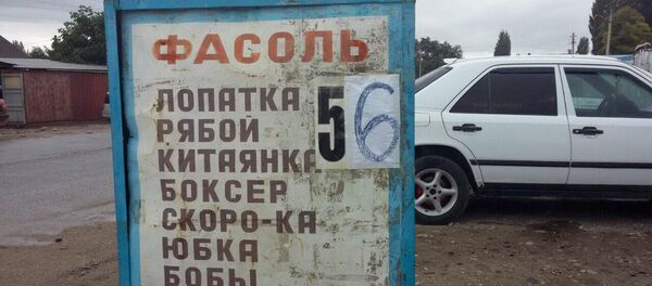 Талас облусунда төө буурчак. Архив Талас облусунда төө буурчак. Архив - Sputnik Кыргызстан