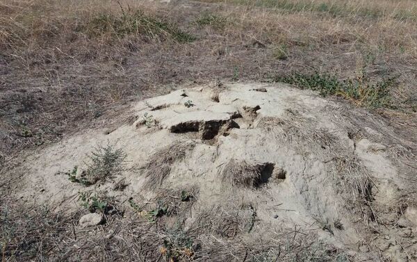 По словам местного жителя Кенже Досбаева, разбросанные вокруг могил человеческие кости наводят ужас на сельских жителей. - Sputnik Кыргызстан