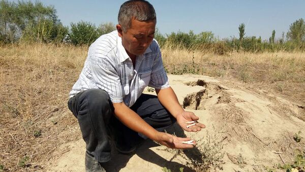 Архивное фото села Мамажан Кара-Суйского района, где мужчина показывает могилу, раскопанную шакалами - Sputnik Кыргызстан