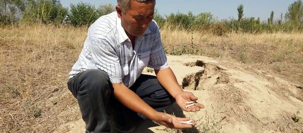 Кара-Суу районундагы мазарда чукулган мүрзө жайында жергиликтүү жаран Кара-Суу районундагы мазарда чукулган мүрзө жайында жергиликтүү жаран - Sputnik Кыргызстан