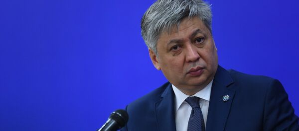 Заседание Совета министров иностранных дел СНГ в узком составе - Sputnik Кыргызстан