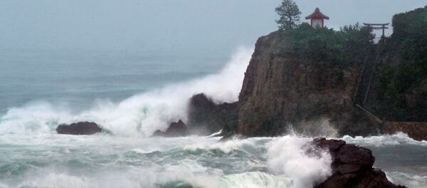 Япониядагы тайфундан улам чыккан толкундар. Архивдик сүрөт - Sputnik Кыргызстан