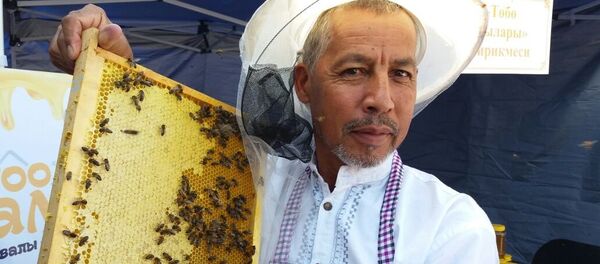 Пчеловод на фестивале меда в Кара-Кулжинском районе Пчеловод на фестивале меда в Кара-Кулжинском районе - Sputnik Кыргызстан
