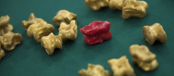 Альчики. Архивное фото - Sputnik Кыргызстан