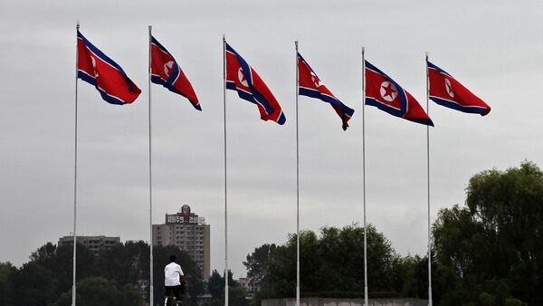 Архивное фото флагов Северной Кореи - Sputnik Кыргызстан