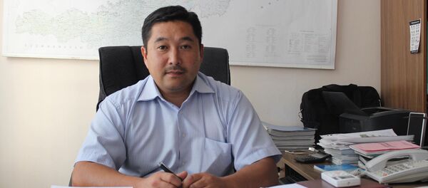 Архивное фото начальника группы реализации проектов ОАО НЭСК Рустанбека Раимкулова - Sputnik Кыргызстан