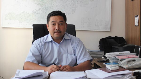 Архивное фото начальника группы реализации проектов ОАО НЭСК Рустанбека Раимкулова - Sputnik Кыргызстан