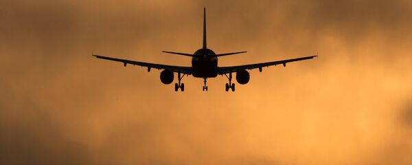 Аэропорты Москвы и Московской области - Sputnik Кыргызстан