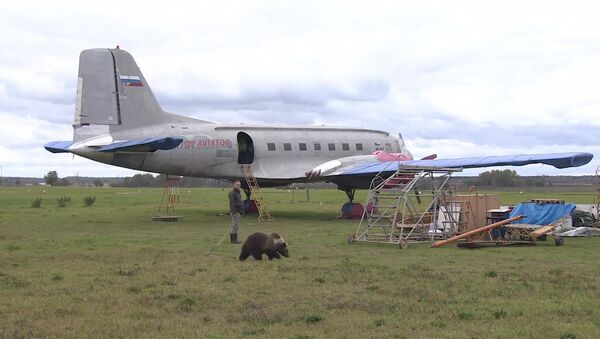 Медвежонок Мансур поселился на аэродроме под Тверью и подружился с лайкой - Sputnik Кыргызстан