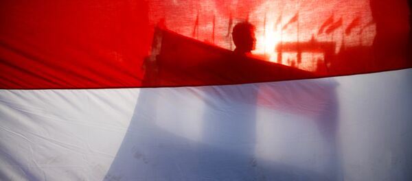 Йемендин желегин кармаган жаш бала. Архивдик сүрөтү Йемендин желегин кармаган жаш бала. Архивдик сүрөтү - Sputnik Кыргызстан