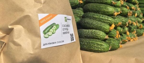Продукция кыргызстанского технолога Тилека Токтогазиева на фермерской ярмарке Koktobe Bazart в Алматы Продукция кыргызстанского технолога Тилека Токтогазиева на фермерской ярмарке Koktobe Bazart в Алматы - Sputnik Кыргызстан