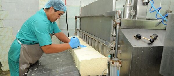 Деятельность ОсОО Ат-Башы-Сүт в селе Ат-Башы Ат-Башинского района - Sputnik Кыргызстан