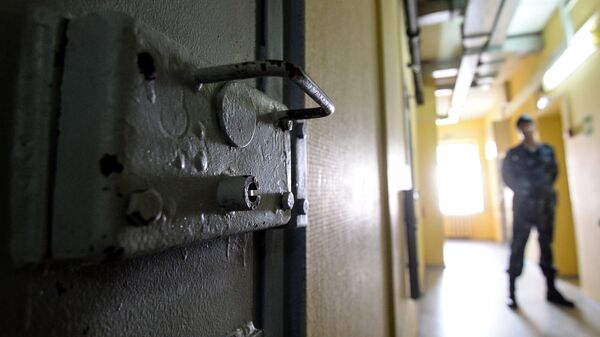 Дверь тюремной камеры. Архивное фото - Sputnik Кыргызстан