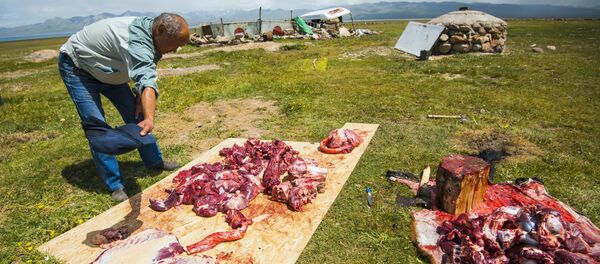 Кой сойгон касапчы. Архивдик сүрөт - Sputnik Кыргызстан