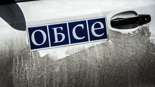 Логотип Организации по безопасности и сотрудничеству в Европе (ОБСЕ) на служебном автомобиле - Sputnik Кыргызстан