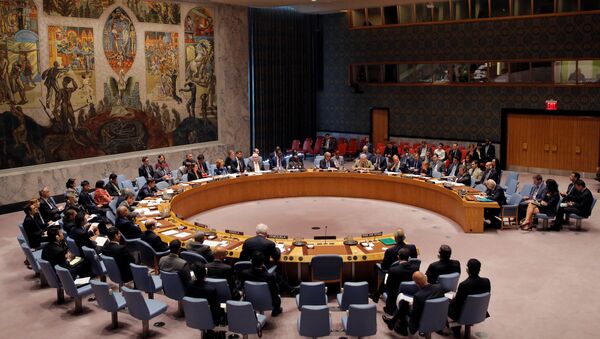 Совещание Совета Безопасности Организации Объединенных Наций в Нью-Йорке, США - Sputnik Кыргызстан
