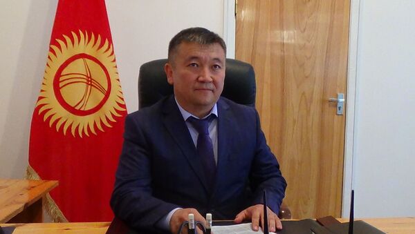 Мэр города Каракол Данияр Арпачиев  - Sputnik Кыргызстан