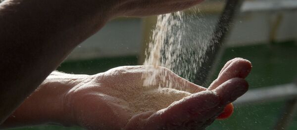 Симферопольский комбинат хлебопродуктов Симферопольский комбинат хлебопродуктов - Sputnik Кыргызстан