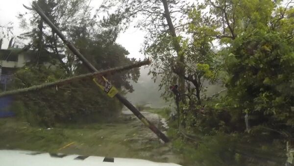Затопленные улицы и поваленные деревья - последствия урагана Мэтью на Гаити - Sputnik Кыргызстан