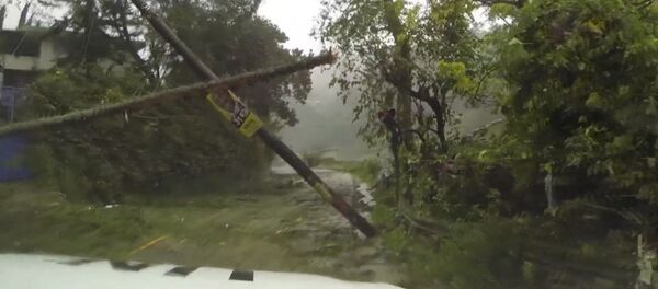 Затопленные улицы и поваленные деревья - последствия урагана Мэтью на Гаити - Sputnik Кыргызстан