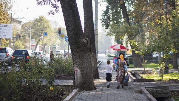 Прохожие на одной из улиц Бишкека - Sputnik Кыргызстан