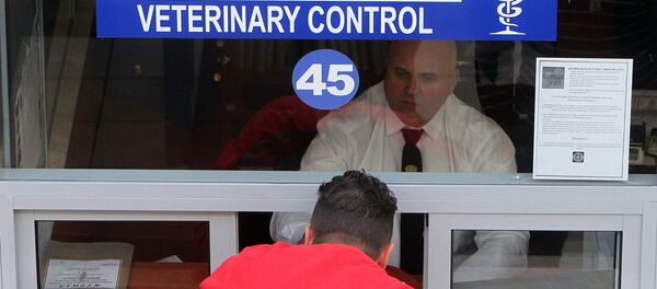 Работа белорусской таможенной службы - Sputnik Кыргызстан