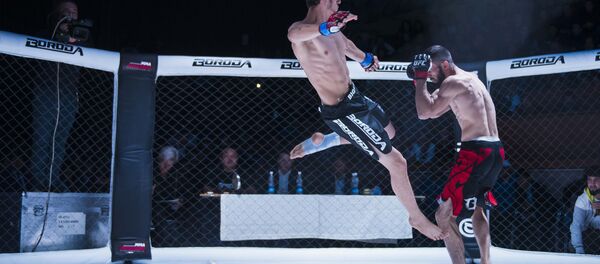 ММА Федерациясынын ачылышына арналган турнир ММА Федерациясынын ачылышына арналган турнир - Sputnik Кыргызстан