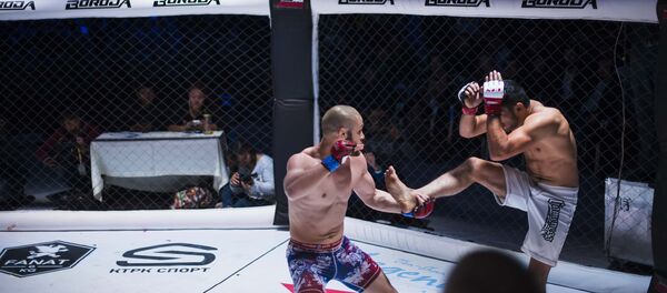 ММА беттеши. Архив - Sputnik Кыргызстан