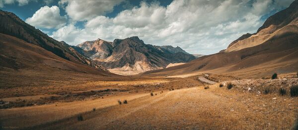 Престижный фотоконкурс National Geographic Nature Photographer of the Year 2016 Престижный фотоконкурс National Geographic Nature Photographer of the Year 2016 - Sputnik Кыргызстан