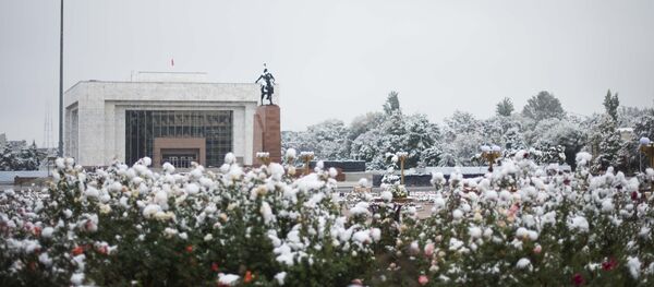 Вид на памятник Манас и исторический музей на площади Ала-тоо - Sputnik Кыргызстан