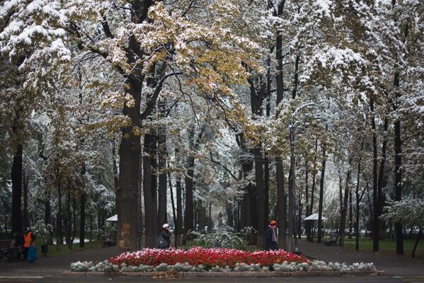 Осенний снег в Бишкеке - Sputnik Кыргызстан
