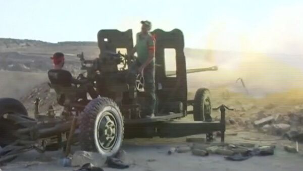 Сирийские военные из зенитных орудий обстреляли позиции боевиков в Алеппо - Sputnik Кыргызстан