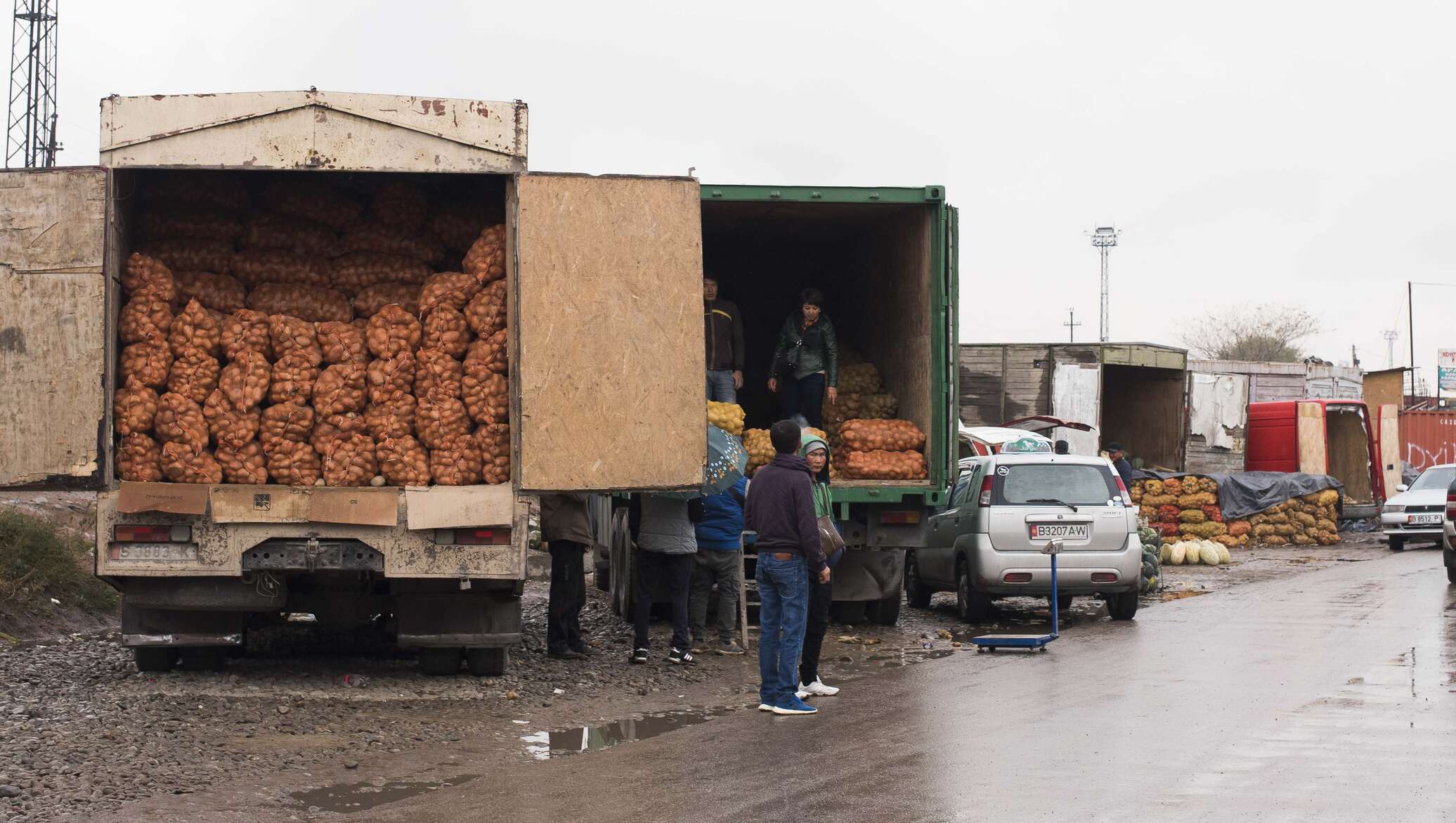 Достук сары озон уруш