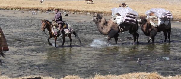 Шамал улуган тоодогу кыргыздар. Памирдеги боордоштордун жүрөк эзген жашоосу - Sputnik Кыргызстан