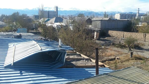 Cильный ветер в селе Сары-Камыш под городом Балыкчи Иссык-Кульской области - Sputnik Кыргызстан